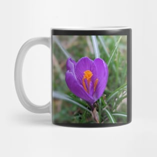 Purple and Orange Flower 3 Mug